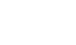 Indumex Logo