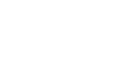 Swiss Medical Logo